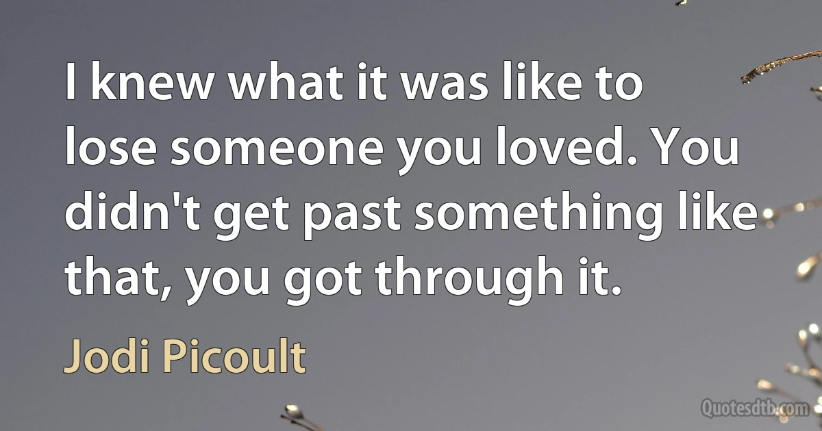 I knew what it was like to lose someone you loved. You didn't get past something like that, you got through it. (Jodi Picoult)