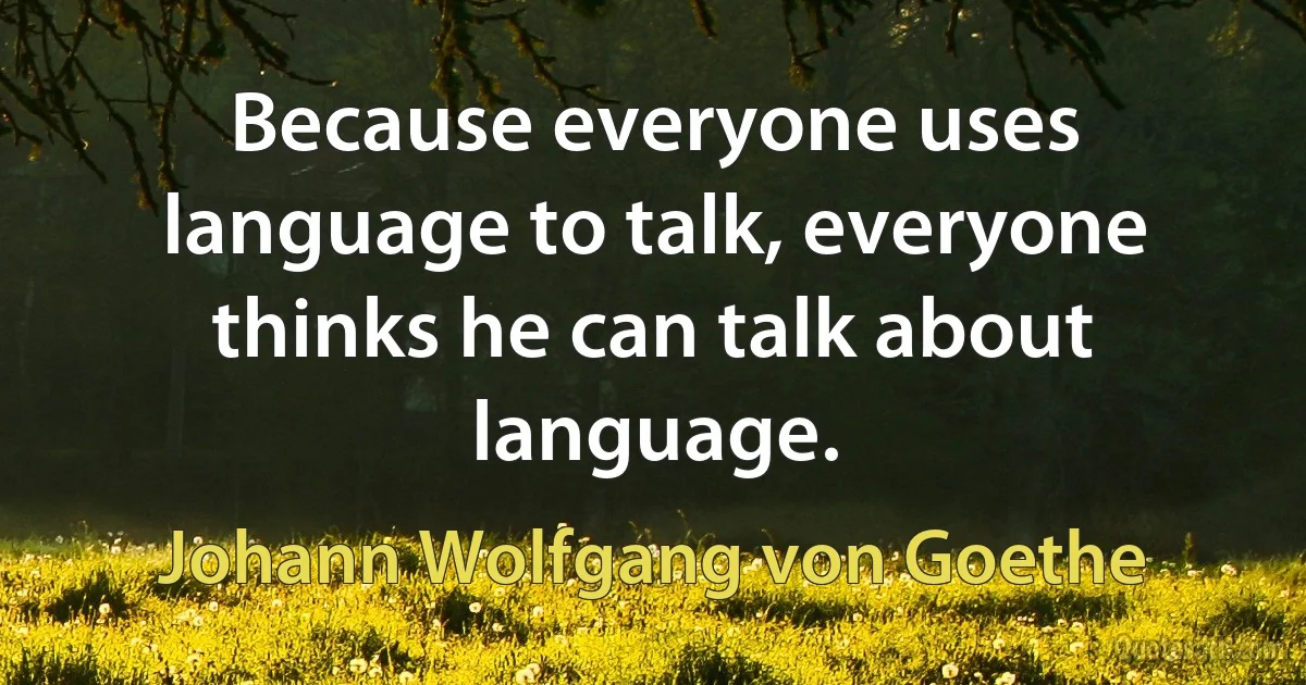 Because everyone uses language to talk, everyone thinks he can talk about language. (Johann Wolfgang von Goethe)