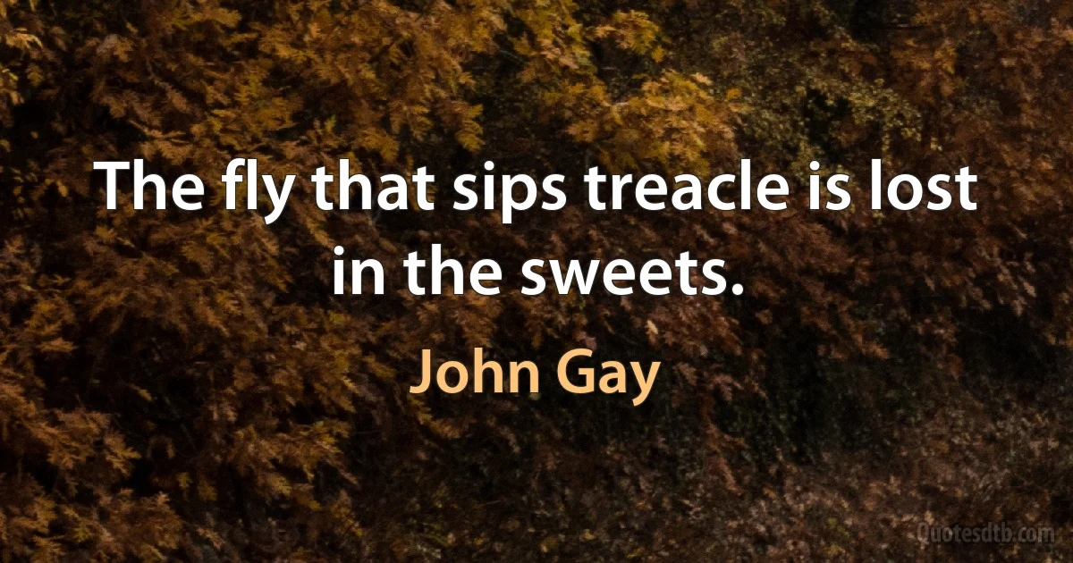 The fly that sips treacle is lost in the sweets. (John Gay)