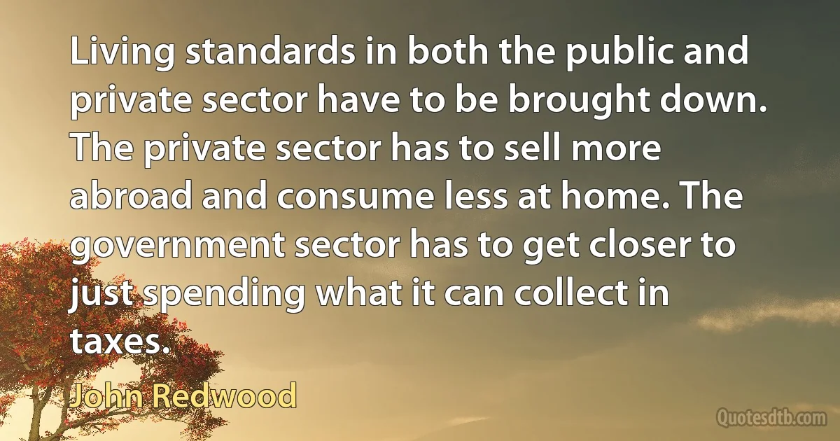 Living standards in both the public and private sector have to be brought down. The private sector has to sell more abroad and consume less at home. The government sector has to get closer to just spending what it can collect in taxes. (John Redwood)