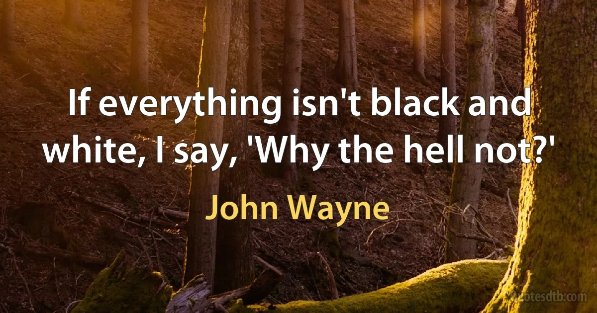 If everything isn't black and white, I say, 'Why the hell not?' (John Wayne)