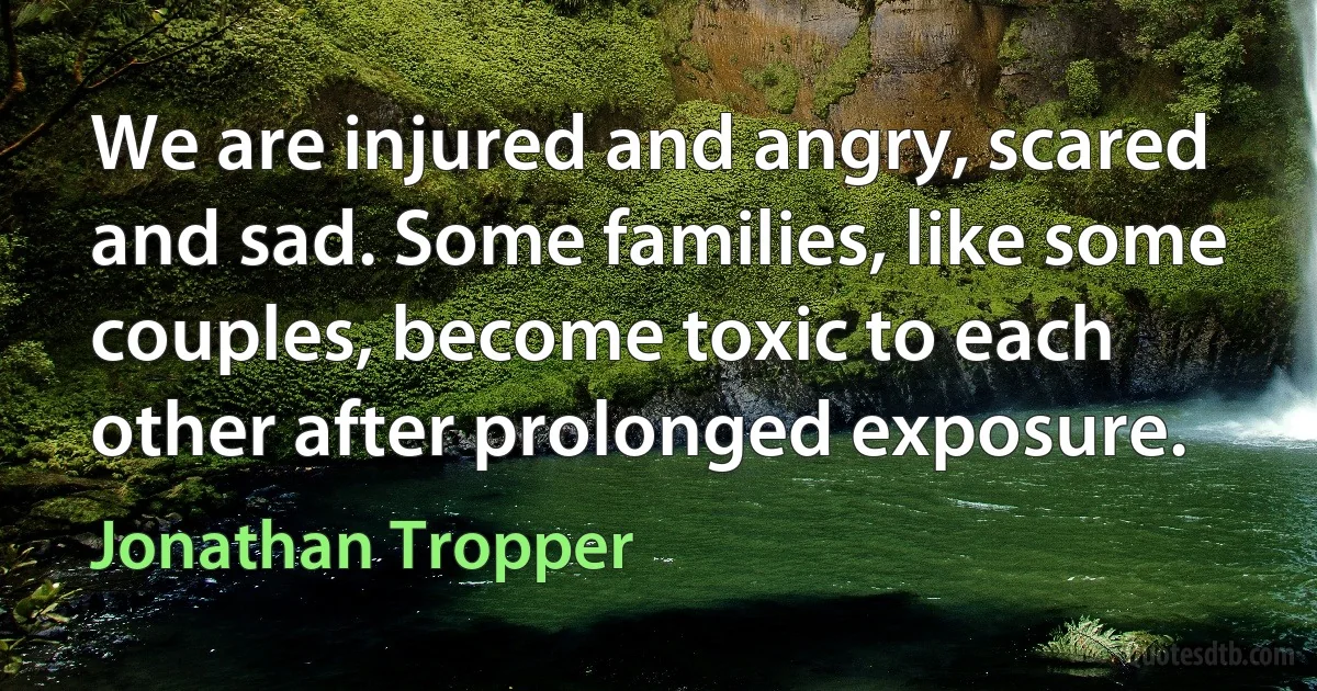 We are injured and angry, scared and sad. Some families, like some couples, become toxic to each other after prolonged exposure. (Jonathan Tropper)