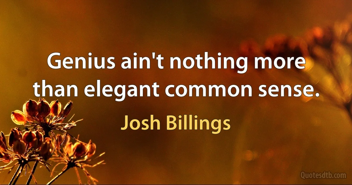 Genius ain't nothing more than elegant common sense. (Josh Billings)