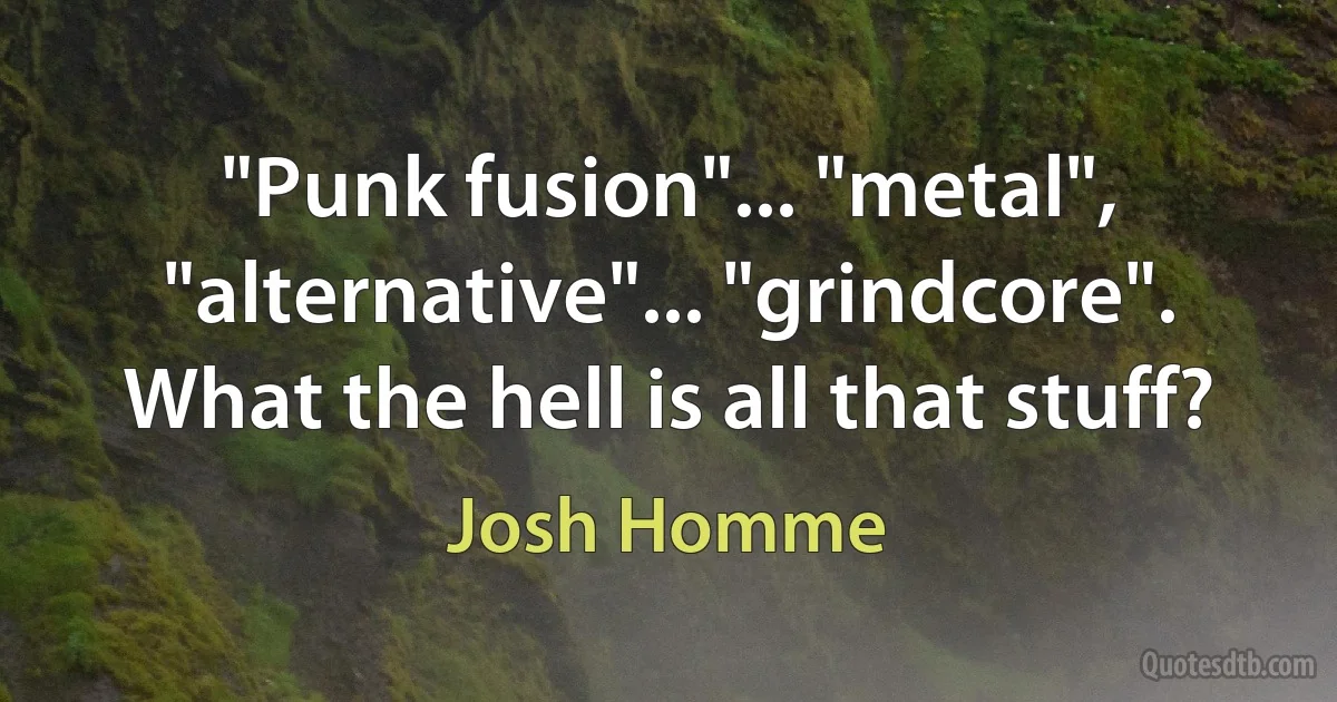 "Punk fusion"... "metal", "alternative"... "grindcore". What the hell is all that stuff? (Josh Homme)