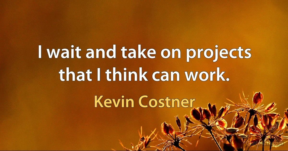 I wait and take on projects that I think can work. (Kevin Costner)