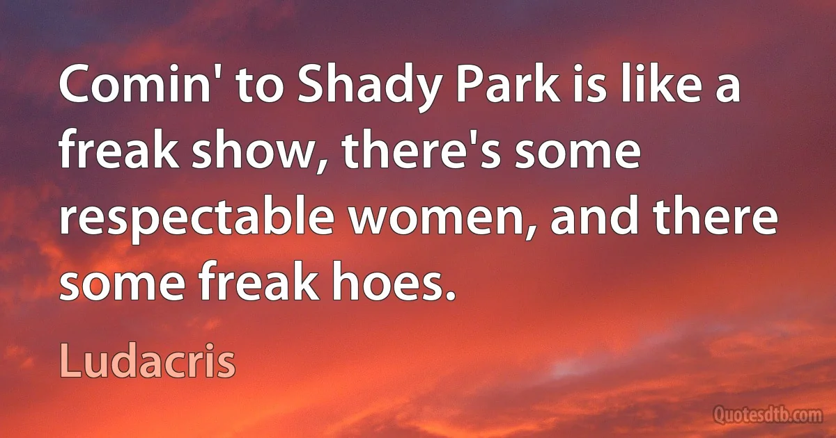 Comin' to Shady Park is like a freak show, there's some respectable women, and there some freak hoes. (Ludacris)