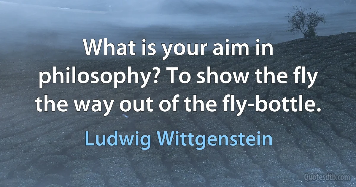 What is your aim in philosophy? To show the fly the way out of the fly-bottle. (Ludwig Wittgenstein)