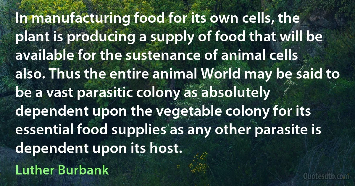 In manufacturing food for its own cells, the plant is producing a supply of food that will be available for the sustenance of animal cells also. Thus the entire animal World may be said to be a vast parasitic colony as absolutely dependent upon the vegetable colony for its essential food supplies as any other parasite is dependent upon its host. (Luther Burbank)