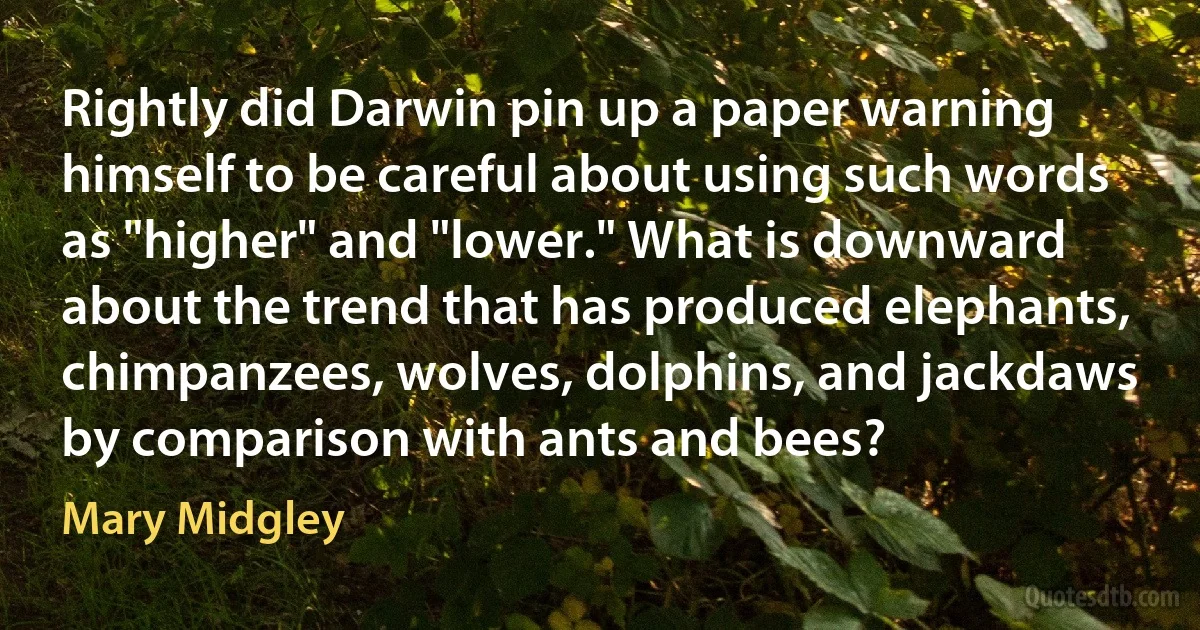 Rightly did Darwin pin up a paper warning himself to be careful about using such words as "higher" and "lower." What is downward about the trend that has produced elephants, chimpanzees, wolves, dolphins, and jackdaws by comparison with ants and bees? (Mary Midgley)