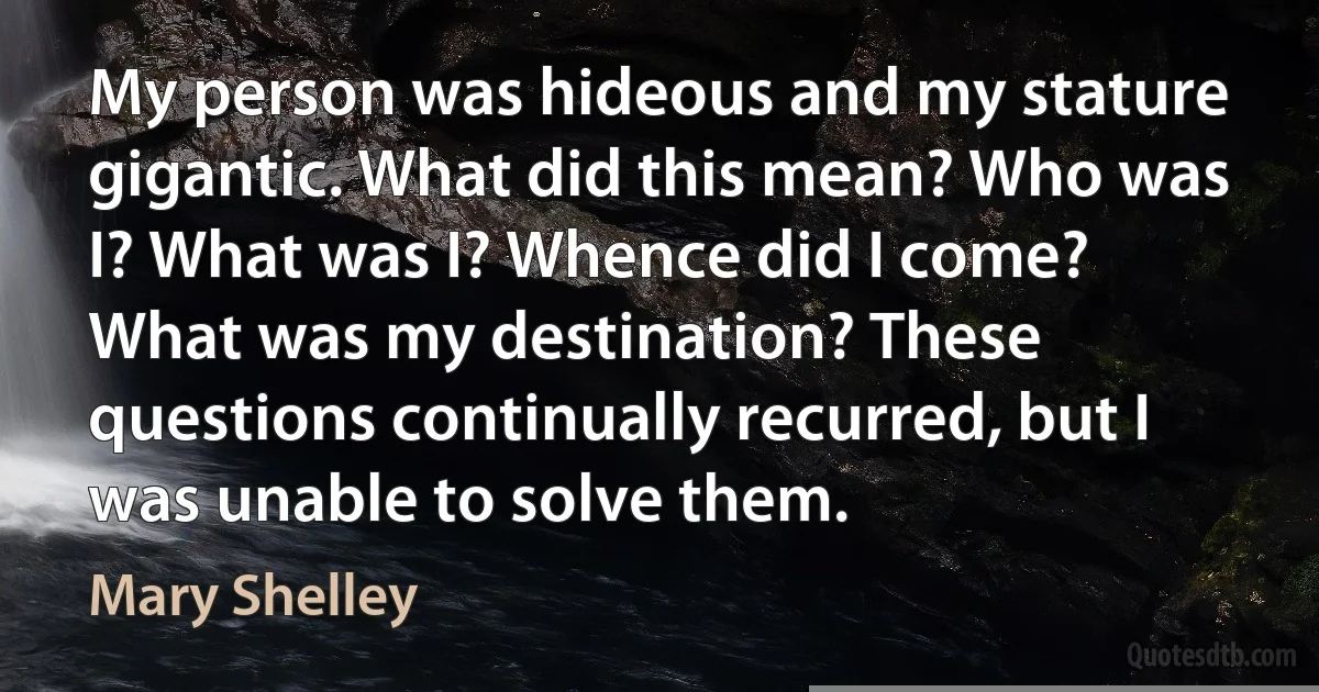 My person was hideous and my stature gigantic. What did this mean? Who was I? What was I? Whence did I come? What was my destination? These questions continually recurred, but I was unable to solve them. (Mary Shelley)