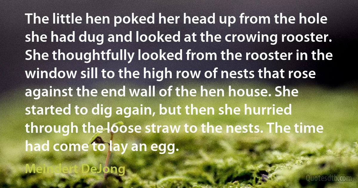 The little hen poked her head up from the hole she had dug and looked at the crowing rooster. She thoughtfully looked from the rooster in the window sill to the high row of nests that rose against the end wall of the hen house. She started to dig again, but then she hurried through the loose straw to the nests. The time had come to lay an egg. (Meindert DeJong)