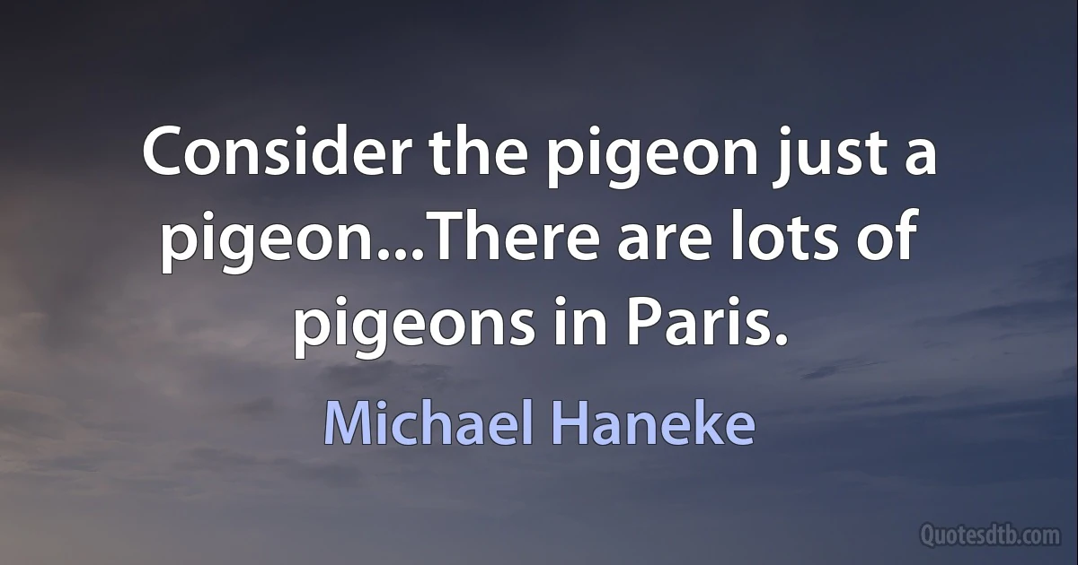 Consider the pigeon just a pigeon...There are lots of pigeons in Paris. (Michael Haneke)