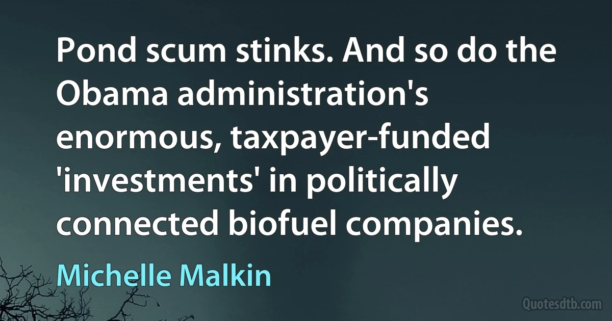 Pond scum stinks. And so do the Obama administration's enormous, taxpayer-funded 'investments' in politically connected biofuel companies. (Michelle Malkin)