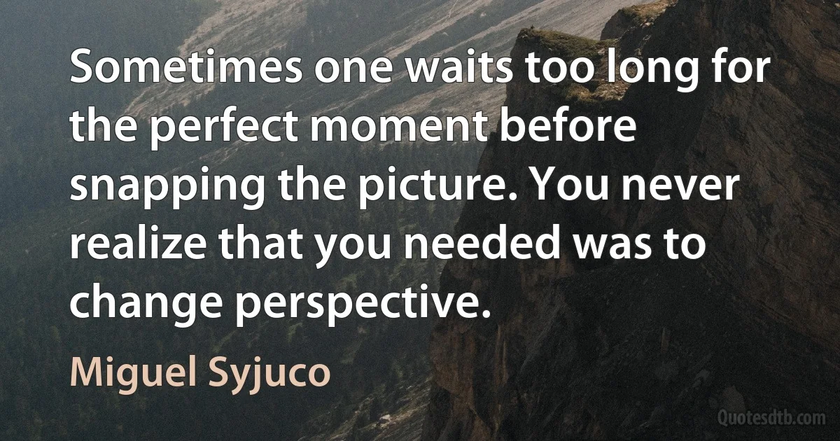 Sometimes one waits too long for the perfect moment before snapping the picture. You never realize that you needed was to change perspective. (Miguel Syjuco)