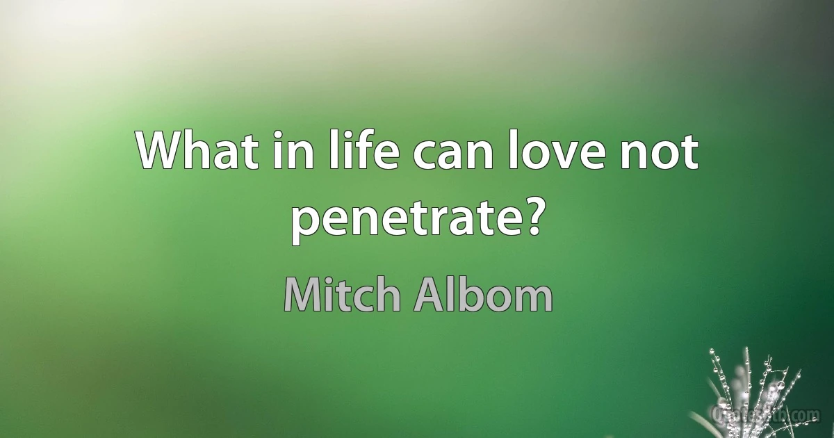 What in life can love not penetrate? (Mitch Albom)