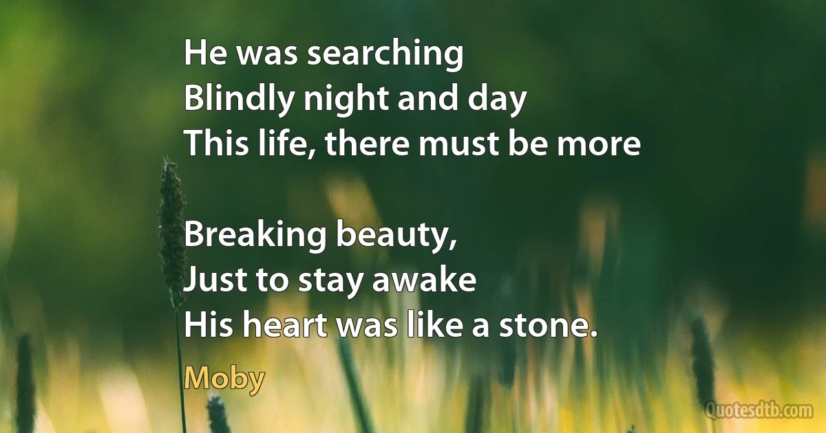 He was searching
Blindly night and day
This life, there must be more

Breaking beauty,
Just to stay awake
His heart was like a stone. (Moby)