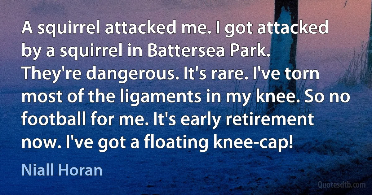 A squirrel attacked me. I got attacked by a squirrel in Battersea Park. They're dangerous. It's rare. I've torn most of the ligaments in my knee. So no football for me. It's early retirement now. I've got a floating knee-cap! (Niall Horan)