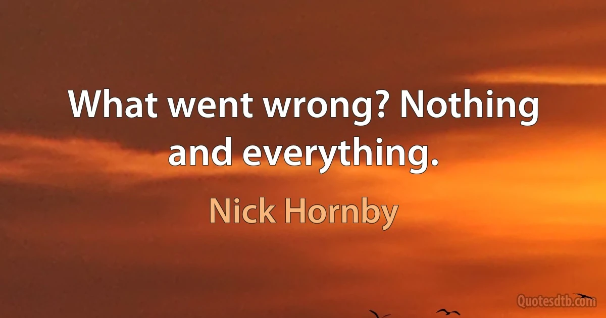 What went wrong? Nothing and everything. (Nick Hornby)