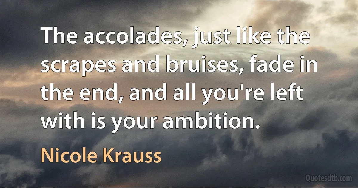 The accolades, just like the scrapes and bruises, fade in the end, and all you're left with is your ambition. (Nicole Krauss)