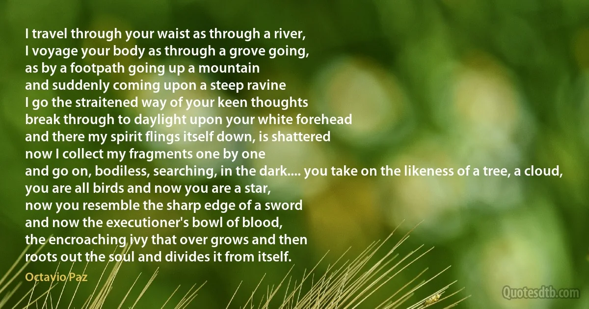 I travel through your waist as through a river,
I voyage your body as through a grove going,
as by a footpath going up a mountain
and suddenly coming upon a steep ravine
I go the straitened way of your keen thoughts
break through to daylight upon your white forehead
and there my spirit flings itself down, is shattered
now I collect my fragments one by one
and go on, bodiless, searching, in the dark.... you take on the likeness of a tree, a cloud,
you are all birds and now you are a star,
now you resemble the sharp edge of a sword
and now the executioner's bowl of blood,
the encroaching ivy that over grows and then
roots out the soul and divides it from itself. (Octavio Paz)