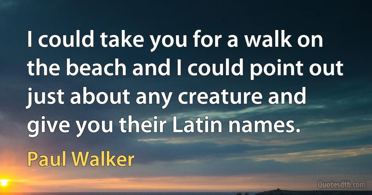 I could take you for a walk on the beach and I could point out just about any creature and give you their Latin names. (Paul Walker)