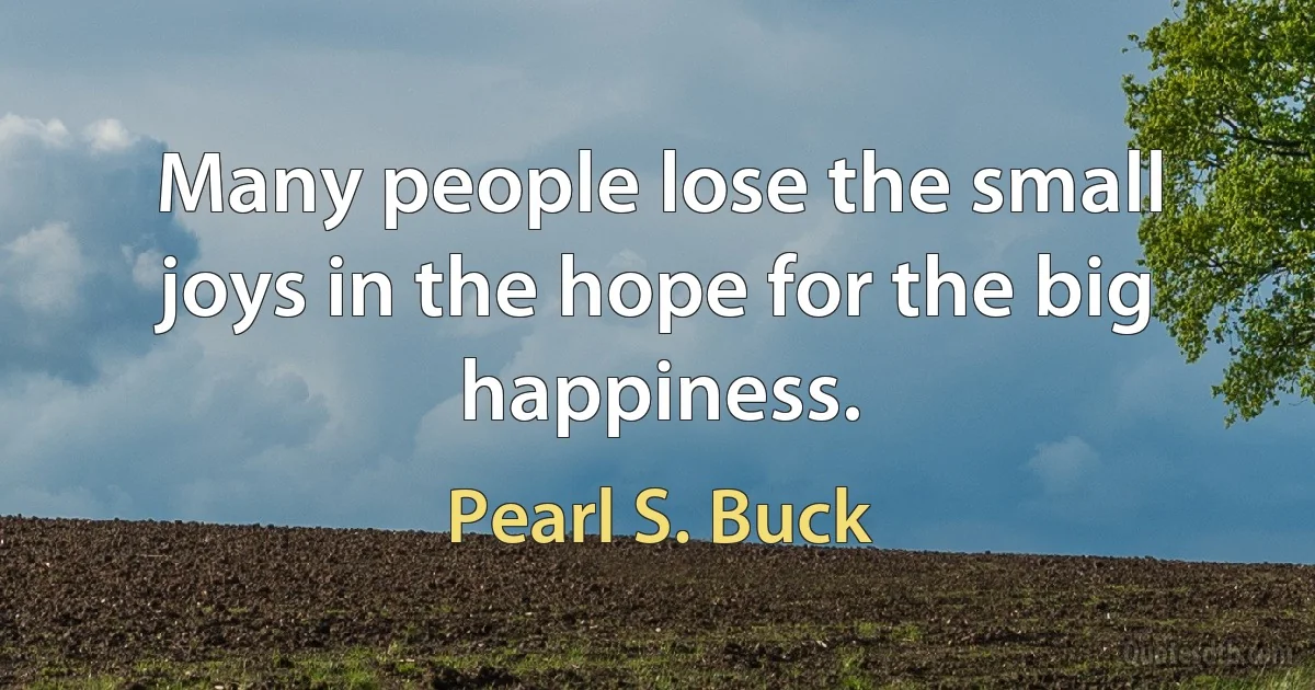 Many people lose the small joys in the hope for the big happiness. (Pearl S. Buck)