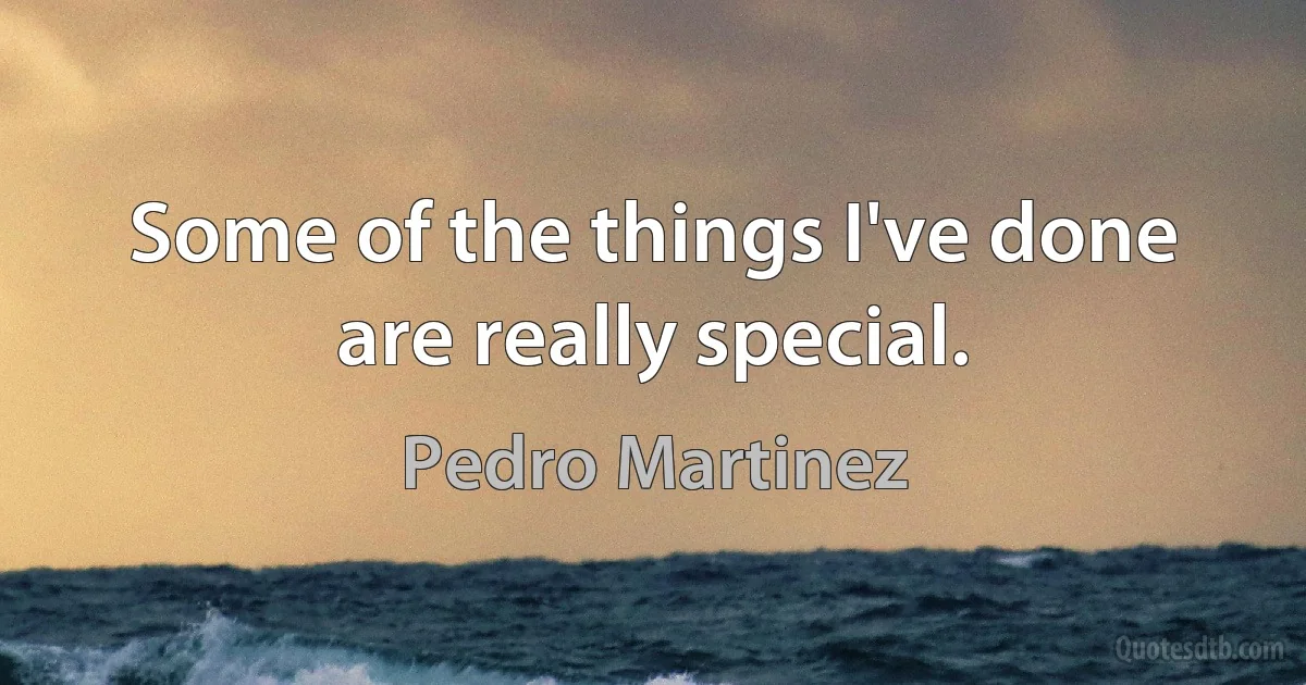 Some of the things I've done are really special. (Pedro Martinez)