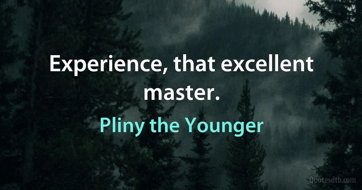 Experience, that excellent master. (Pliny the Younger)