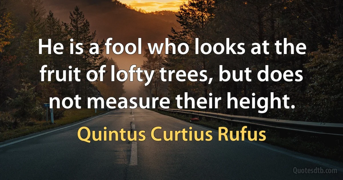 He is a fool who looks at the fruit of lofty trees, but does not measure their height. (Quintus Curtius Rufus)