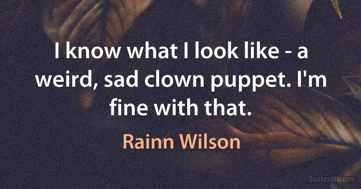 I know what I look like - a weird, sad clown puppet. I'm fine with that. (Rainn Wilson)