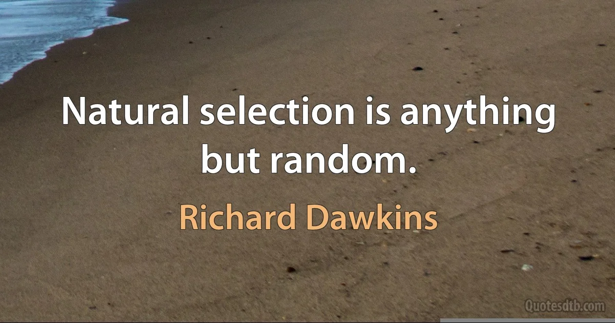 Natural selection is anything but random. (Richard Dawkins)