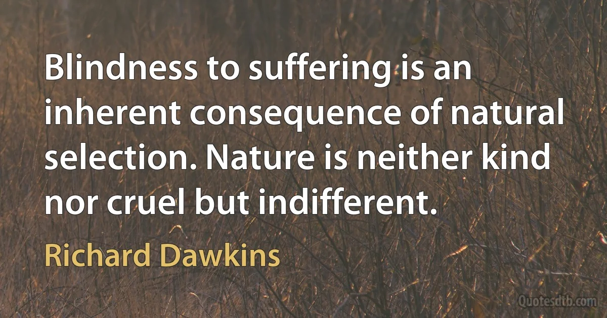 Blindness to suffering is an inherent consequence of natural selection. Nature is neither kind nor cruel but indifferent. (Richard Dawkins)