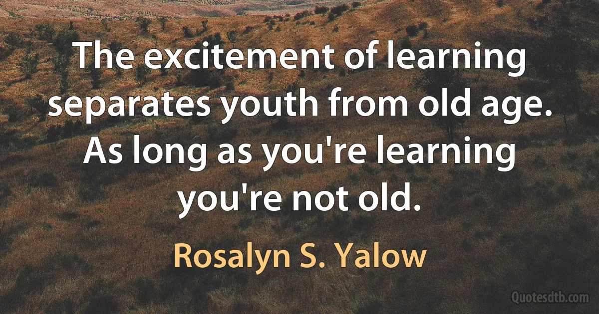 The excitement of learning separates youth from old age. As long as you're learning you're not old. (Rosalyn S. Yalow)