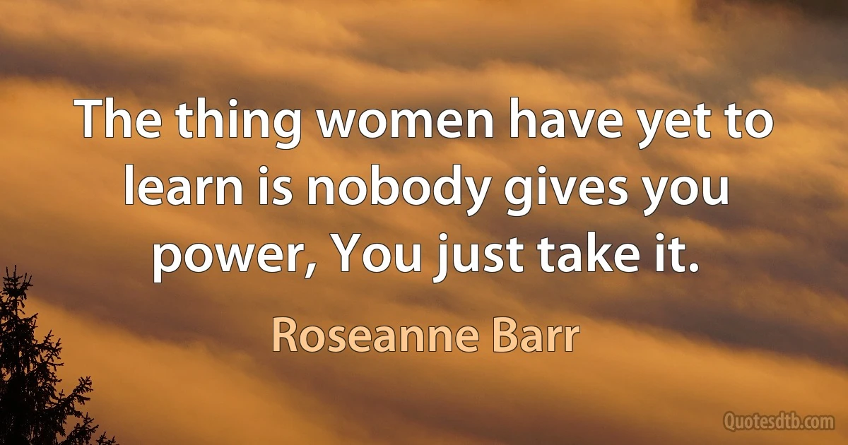 The thing women have yet to learn is nobody gives you power, You just take it. (Roseanne Barr)