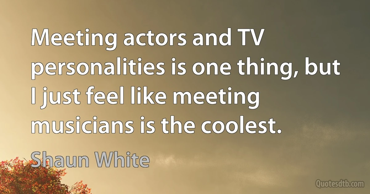 Meeting actors and TV personalities is one thing, but I just feel like meeting musicians is the coolest. (Shaun White)