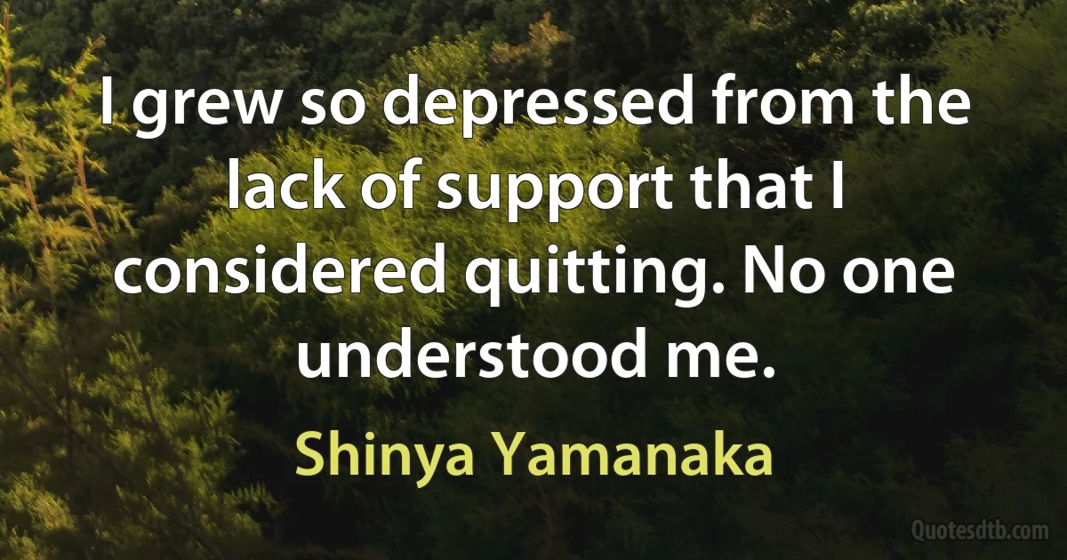 I grew so depressed from the lack of support that I considered quitting. No one understood me. (Shinya Yamanaka)