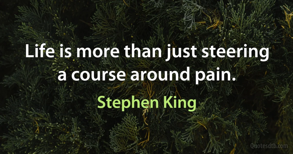 Life is more than just steering a course around pain. (Stephen King)