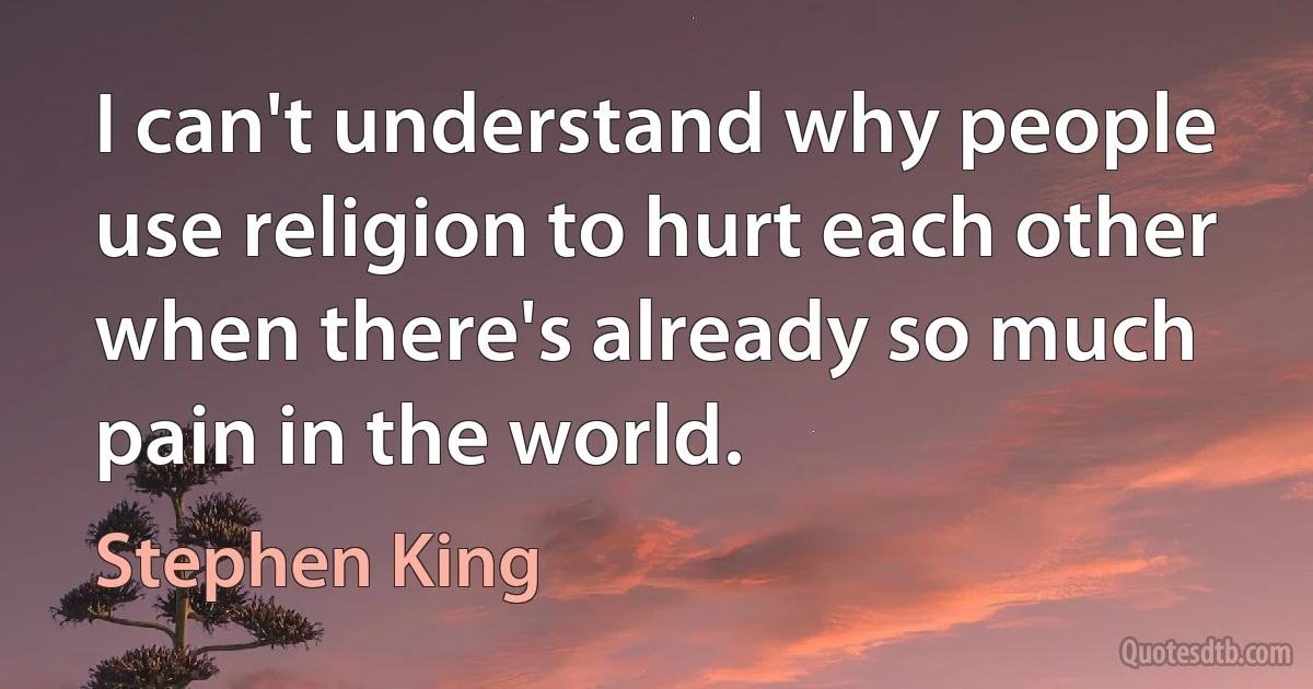 I can't understand why people use religion to hurt each other when there's already so much pain in the world. (Stephen King)