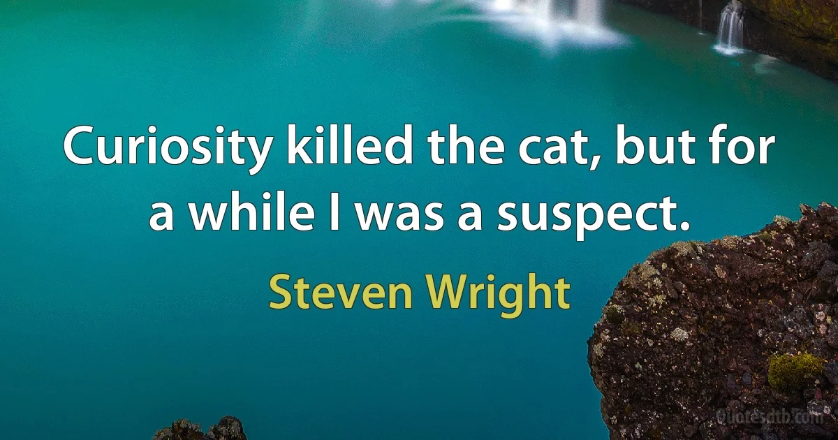 Curiosity killed the cat, but for a while I was a suspect. (Steven Wright)