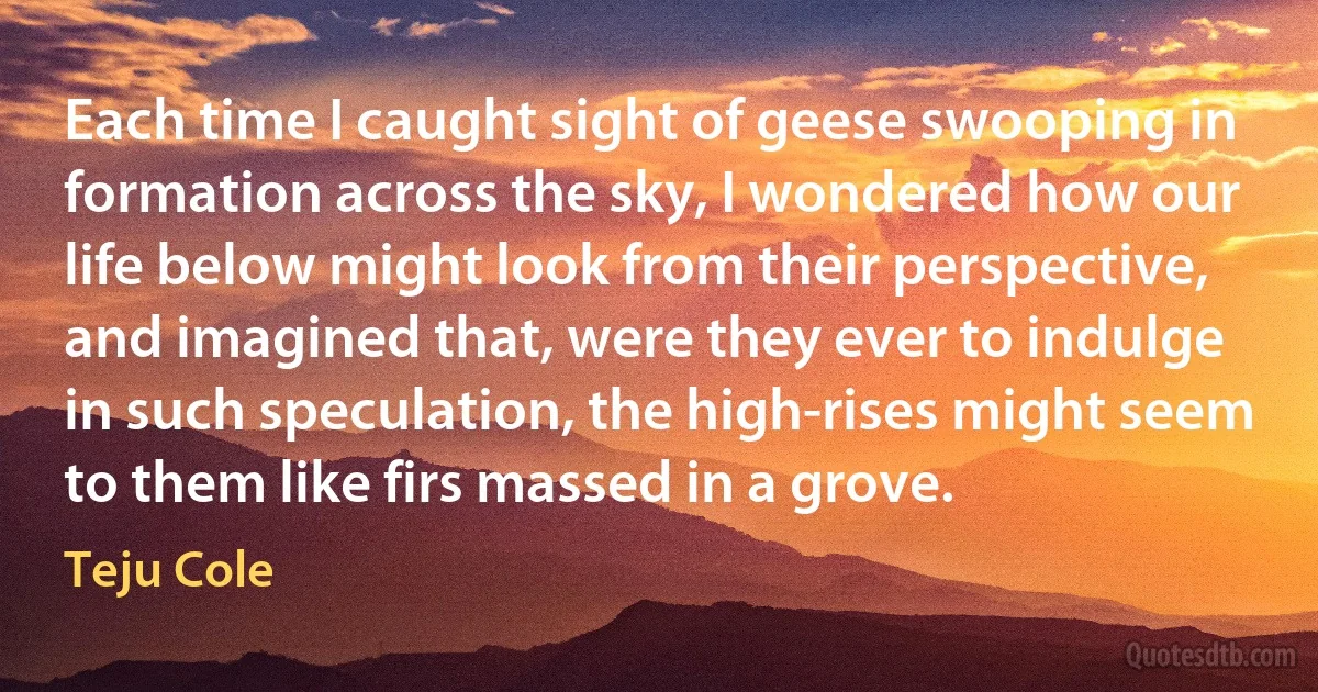 Each time I caught sight of geese swooping in formation across the sky, I wondered how our life below might look from their perspective, and imagined that, were they ever to indulge in such speculation, the high-rises might seem to them like firs massed in a grove. (Teju Cole)