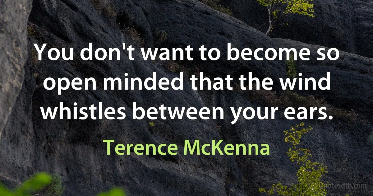 You don't want to become so open minded that the wind whistles between your ears. (Terence McKenna)