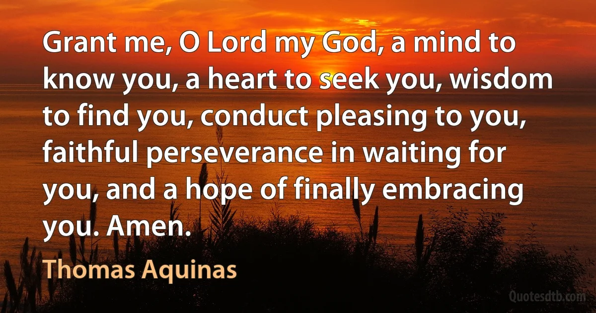 Grant me, O Lord my God, a mind to know you, a heart to seek you, wisdom to find you, conduct pleasing to you, faithful perseverance in waiting for you, and a hope of finally embracing you. Amen. (Thomas Aquinas)