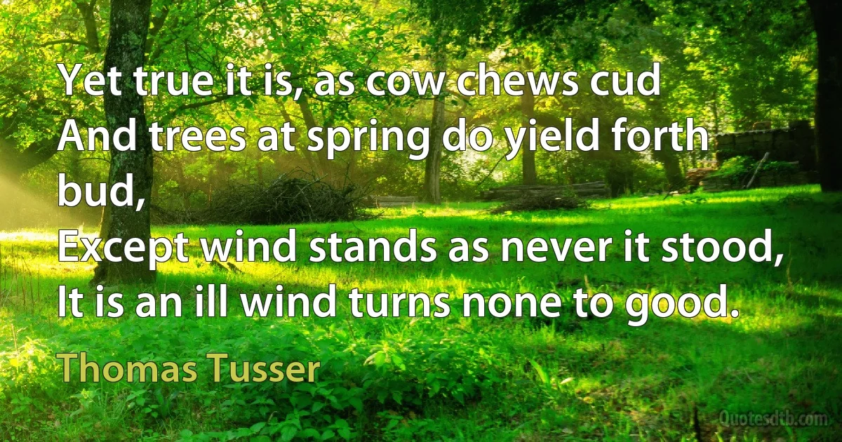 Yet true it is, as cow chews cud
And trees at spring do yield forth bud,
Except wind stands as never it stood,
It is an ill wind turns none to good. (Thomas Tusser)