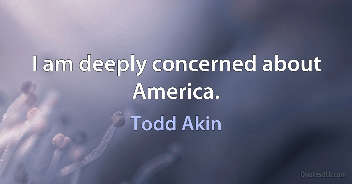 I am deeply concerned about America. (Todd Akin)