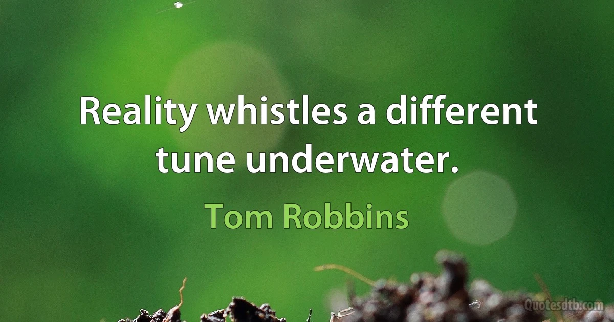 Reality whistles a different tune underwater. (Tom Robbins)