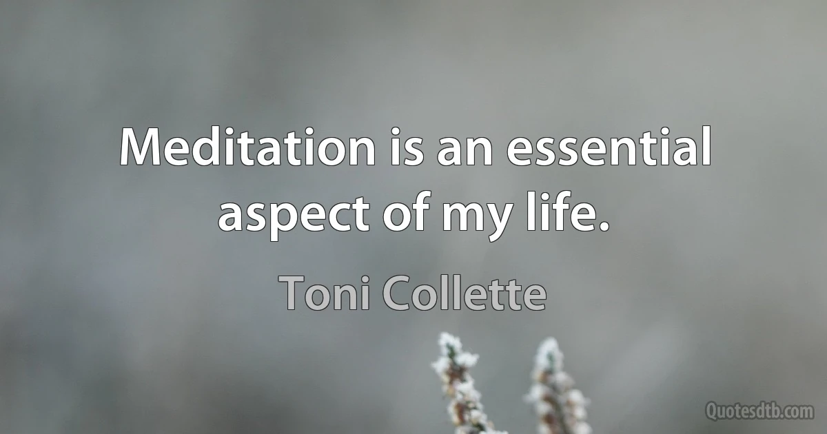 Meditation is an essential aspect of my life. (Toni Collette)