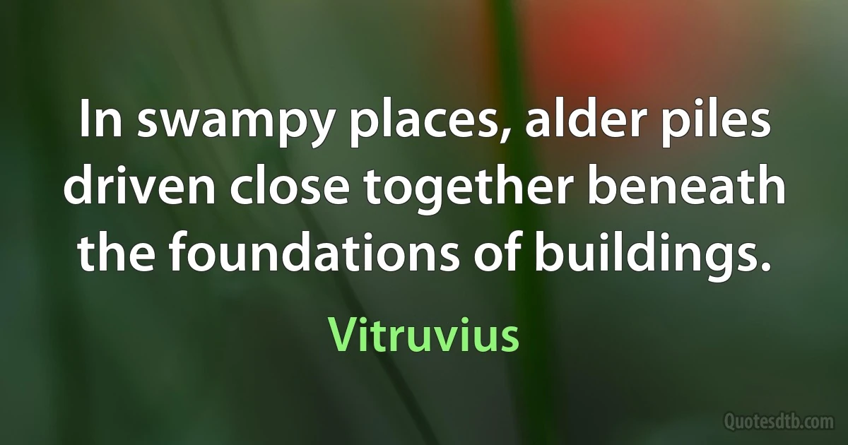 In swampy places, alder piles driven close together beneath the foundations of buildings. (Vitruvius)