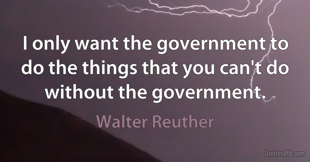 I only want the government to do the things that you can't do without the government. (Walter Reuther)