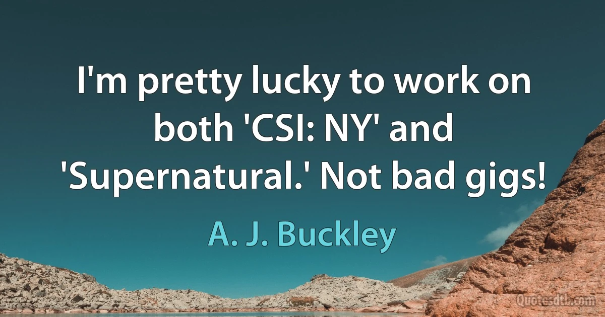 I'm pretty lucky to work on both 'CSI: NY' and 'Supernatural.' Not bad gigs! (A. J. Buckley)