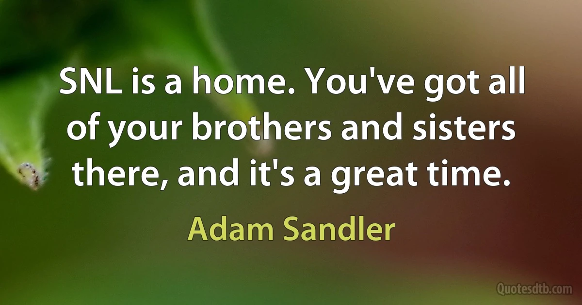 SNL is a home. You've got all of your brothers and sisters there, and it's a great time. (Adam Sandler)